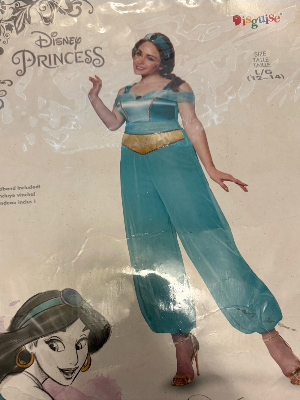 Disney Princess Jasmine Teal and Gold women Costume